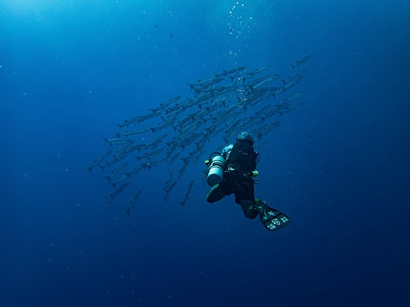 Scuba diver exploring underwater